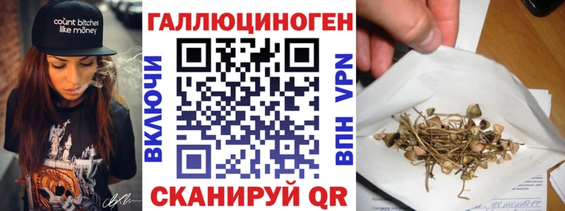 Галлюциногенные грибы Psilocybine cubensis  как найти   Верхотурье 